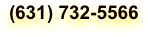 (631) 732-5566